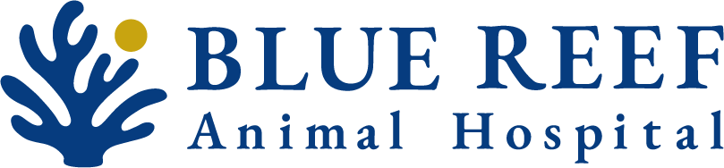 BLUE REEF Animal Hospital | BLUE REEF 動物病院